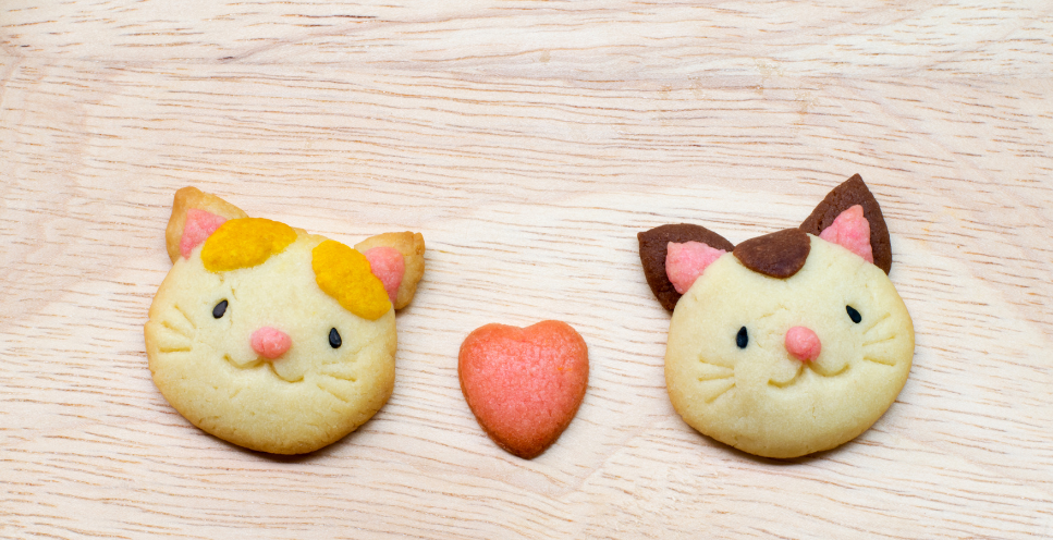 Przepisy na ciasteczka dla kota - TOP 3