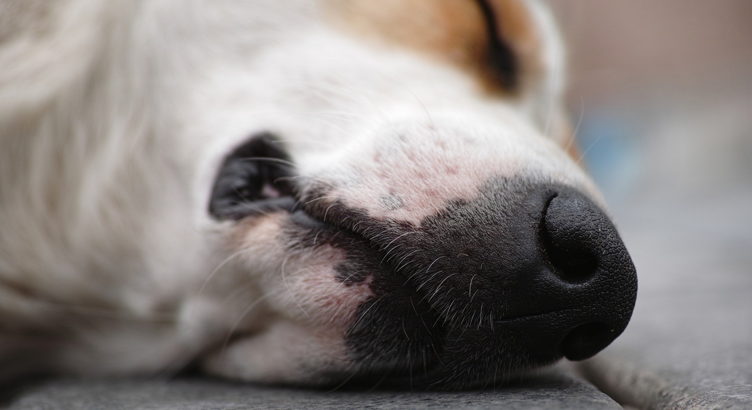 Źródło: Freepik.com