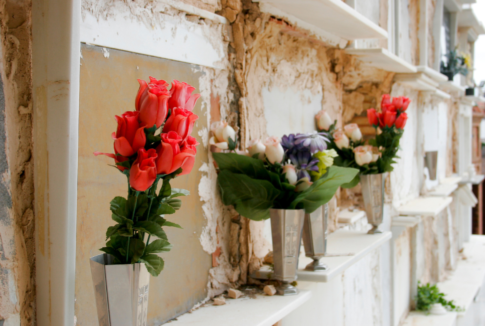 Cmentarze dla zwierząt - miejsce pochówku czworonożnych przyjaciół