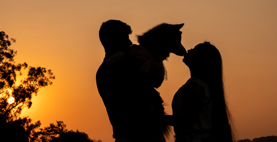 Do kogo trafi zwierzę po rozwodzie?