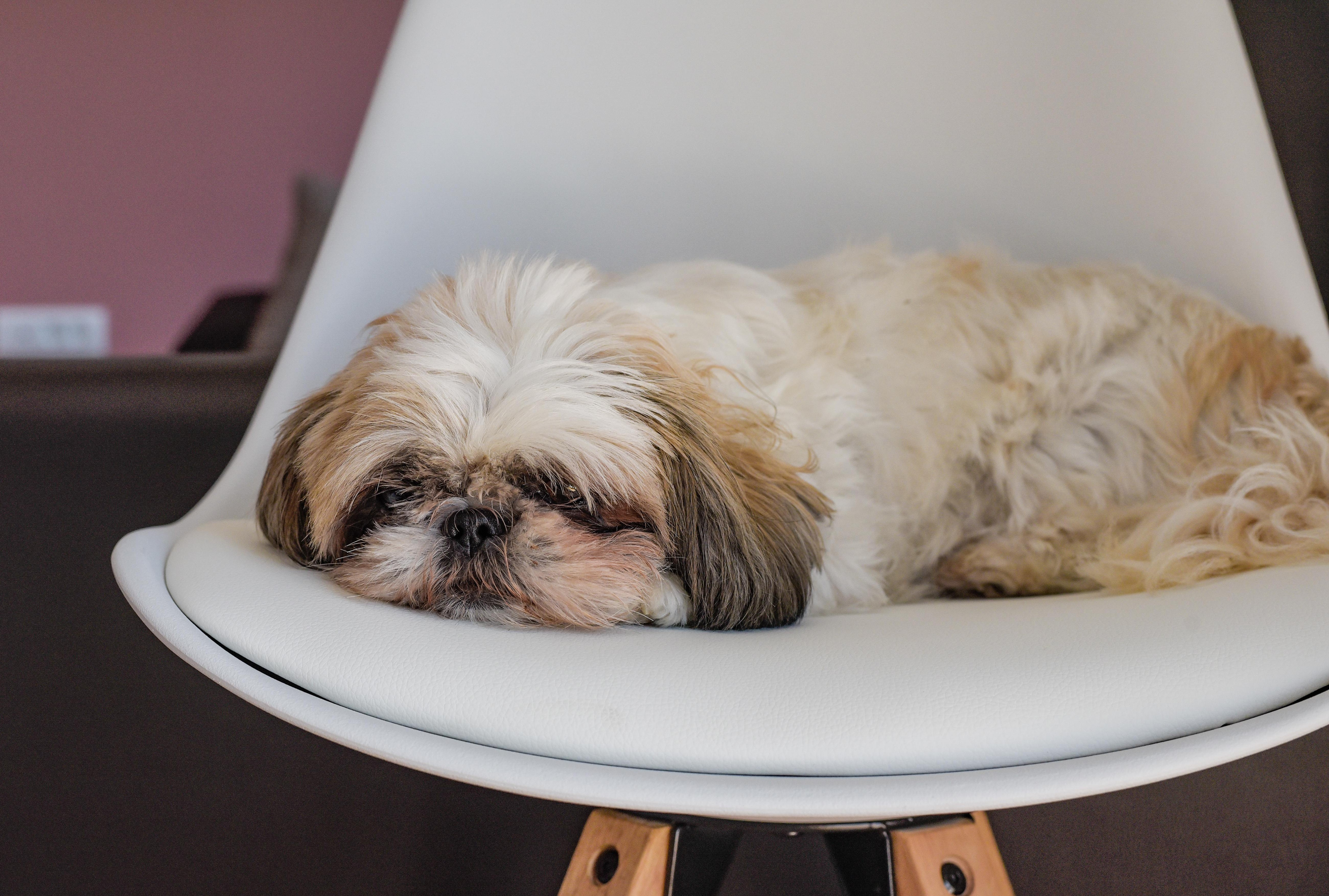 Źródło: Freepik.com