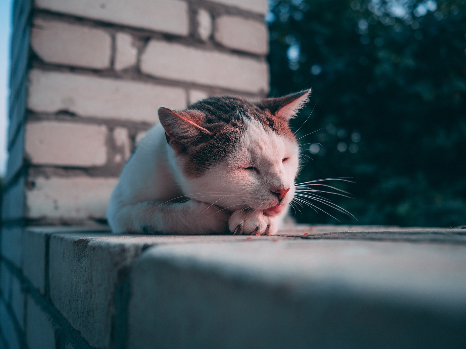 Źródło: Freepik
