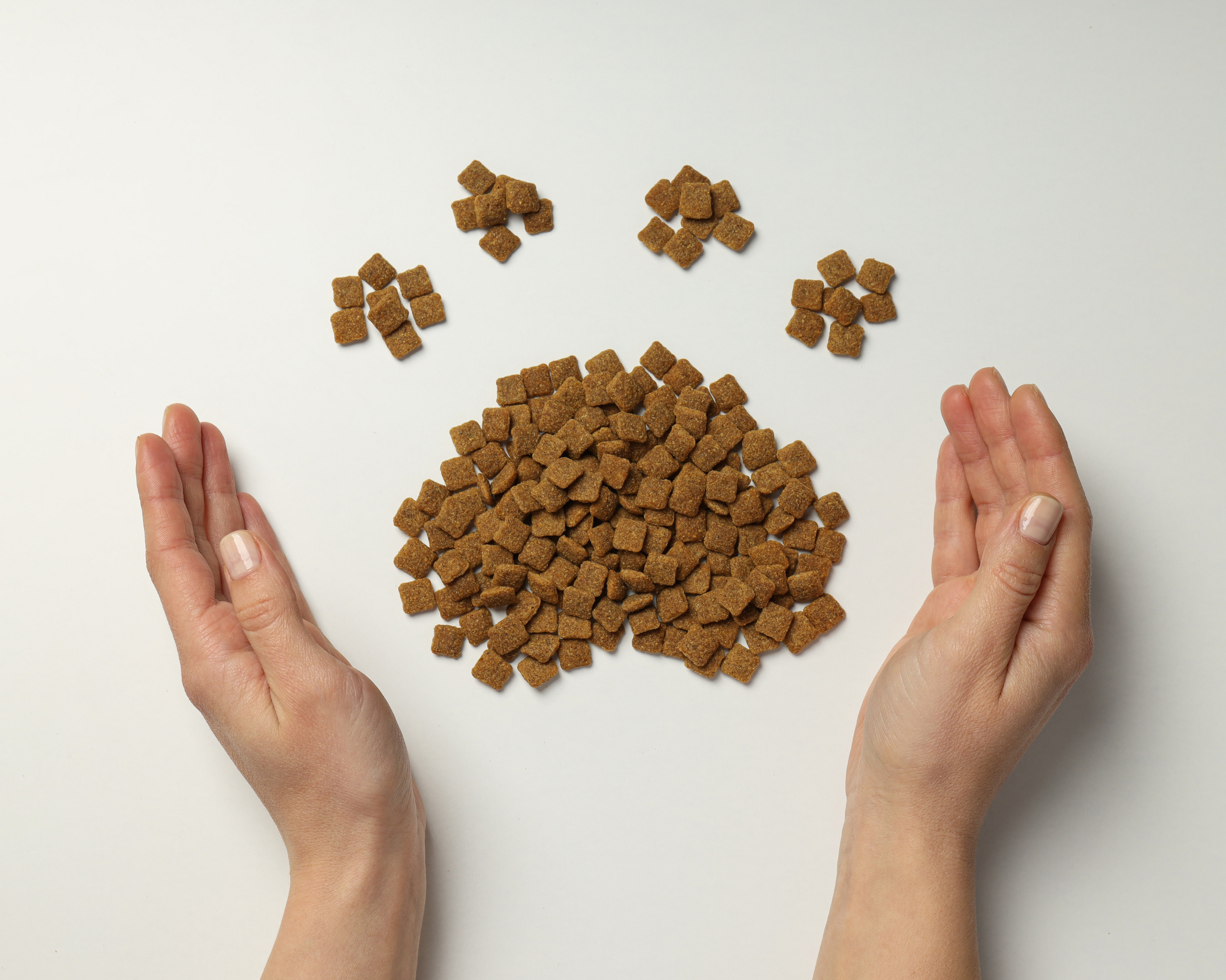 Dlaczego warto stosować karmy weterynaryjne?