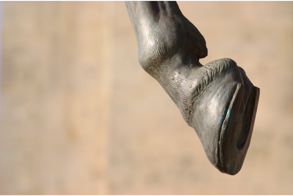 Ochwat u konia - objawy, przyczyny i leczenie choroby