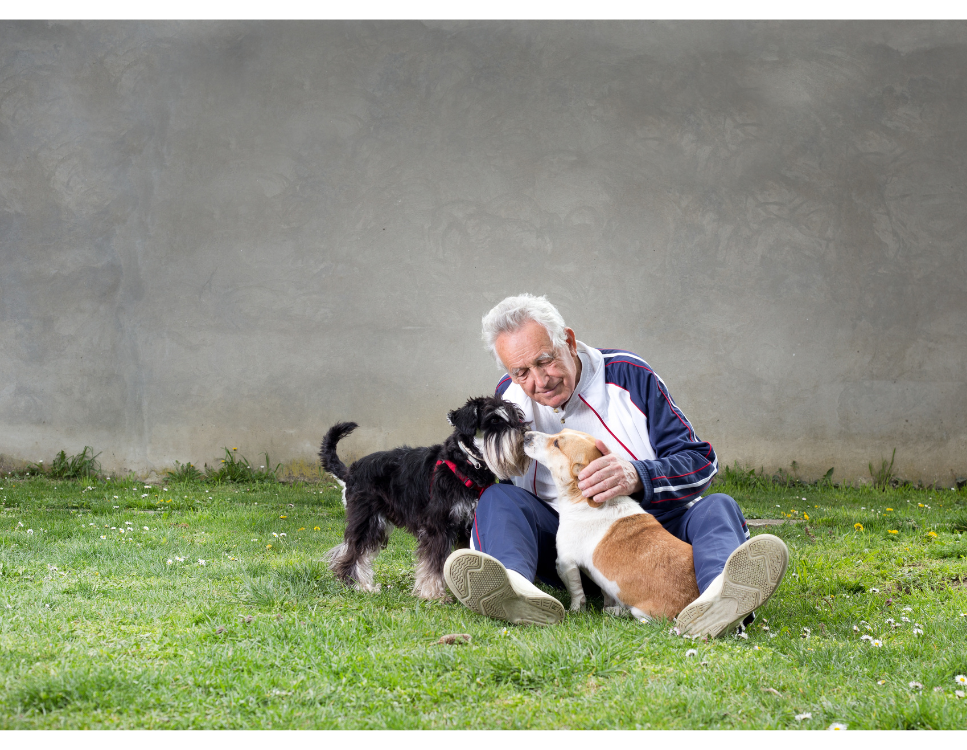 Jaki pies sprawdzi się dla osoby starszej?