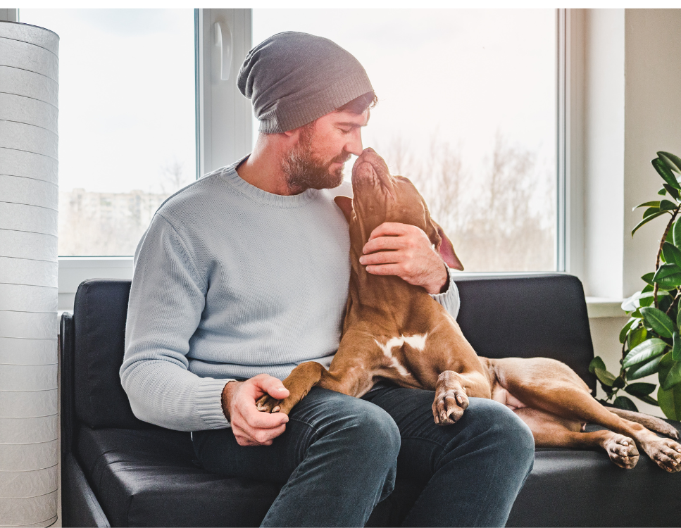 Jaki jest idealny pies dla singla?