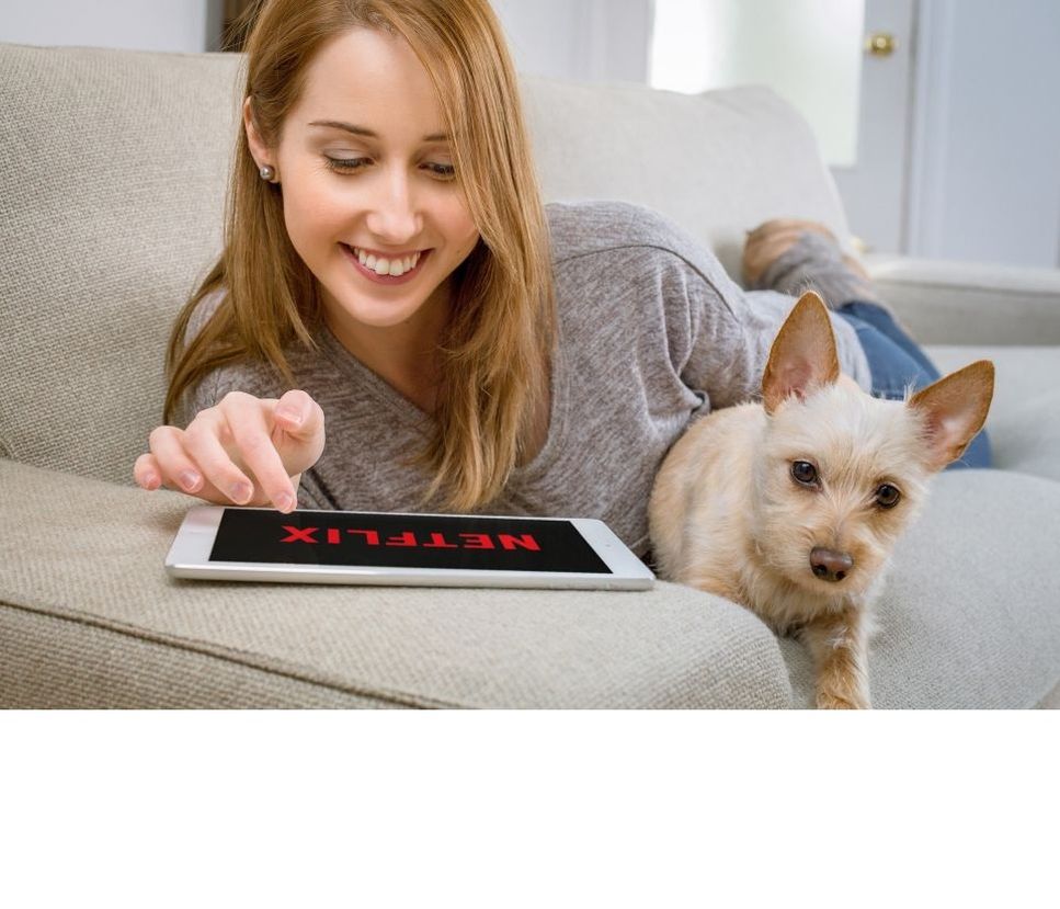 Sławne psy - czy znasz je wszystkie?