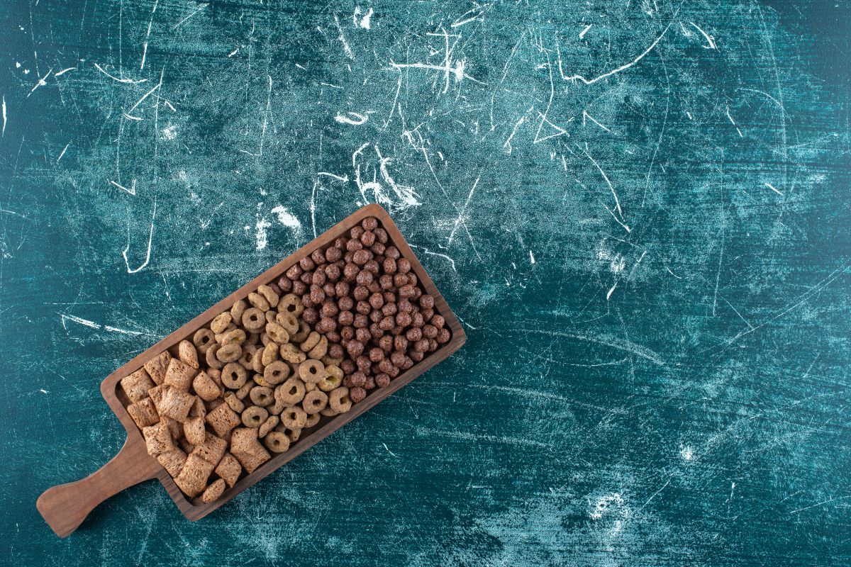 Zalety suchej karmy dla psa
