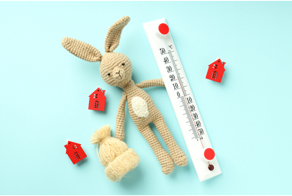 Jak rozpoznać przegrzanie u królika? Nie dopuść do udaru słonecznego!