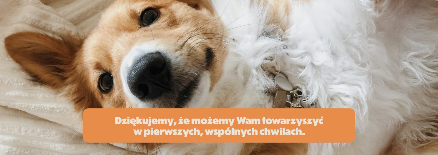Dziękujemy, że możemy Wam towarzyszyć w pierwszych, wspólnych chwilach.
