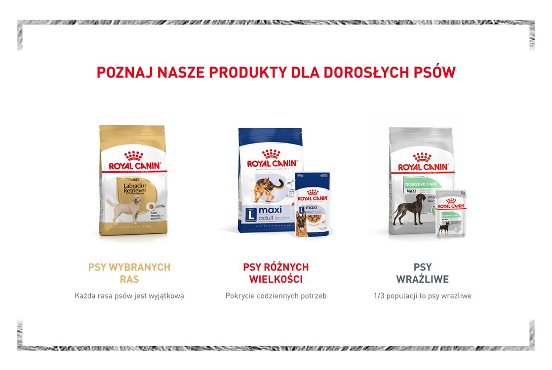 Royal Canin MAXI PUPPY