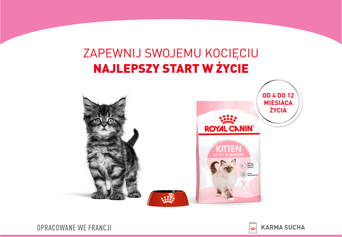 Royal Canin KITTEN DRY