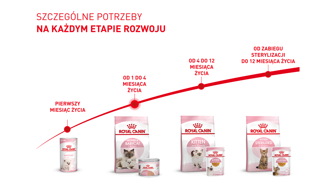 Royal Canin KITTEN DRY