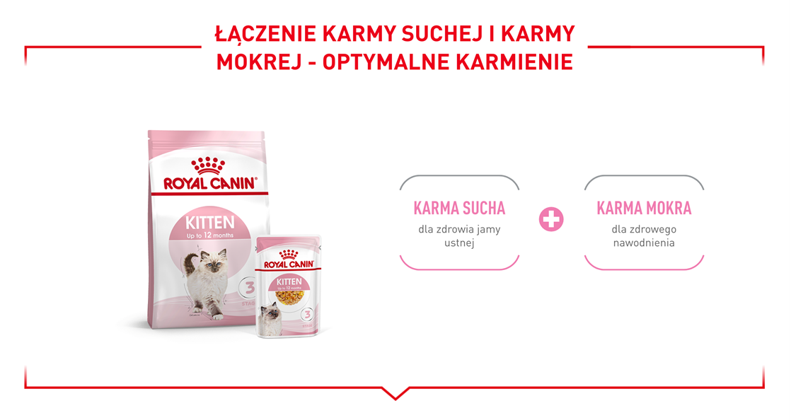 Royal Canin KITTEN DRY