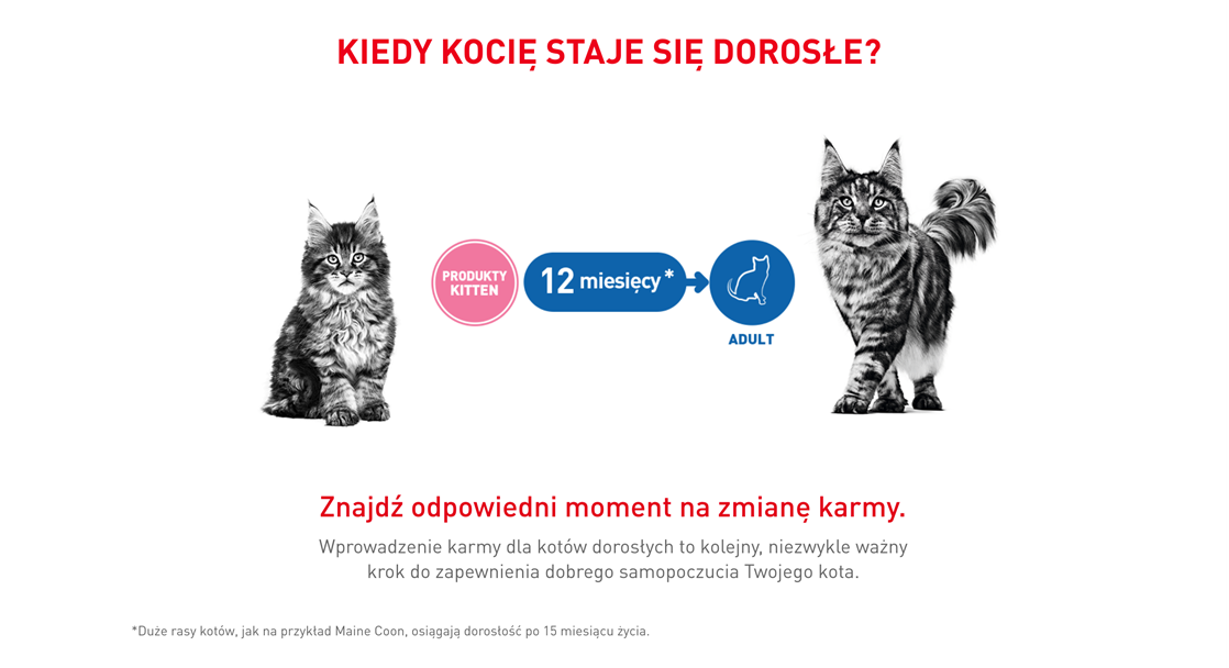 Royal Canin KITTEN DRY