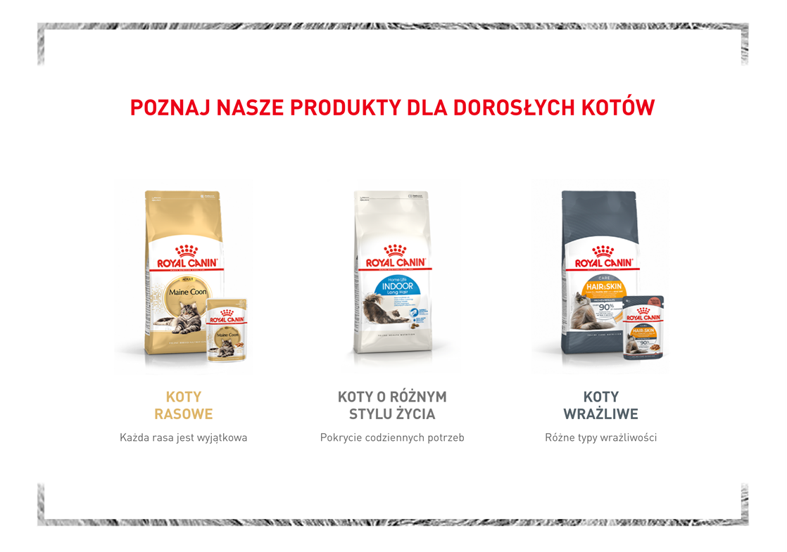 Royal Canin KITTEN DRY
