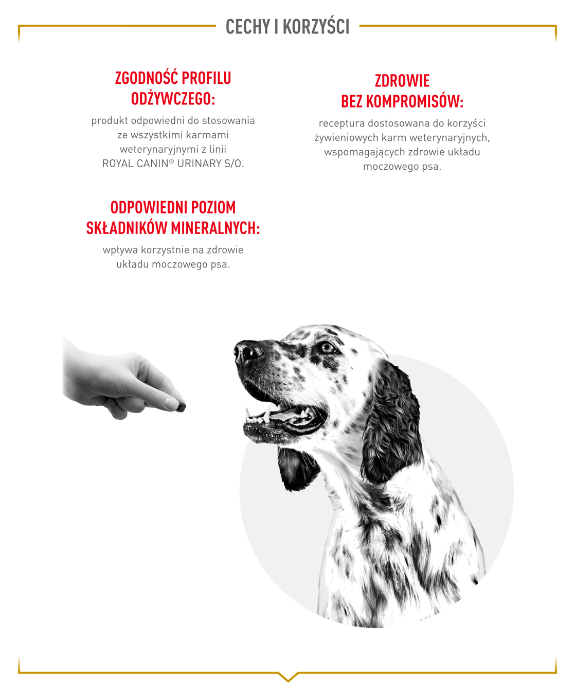 ROYAL CANIN Dog Satiety Treats