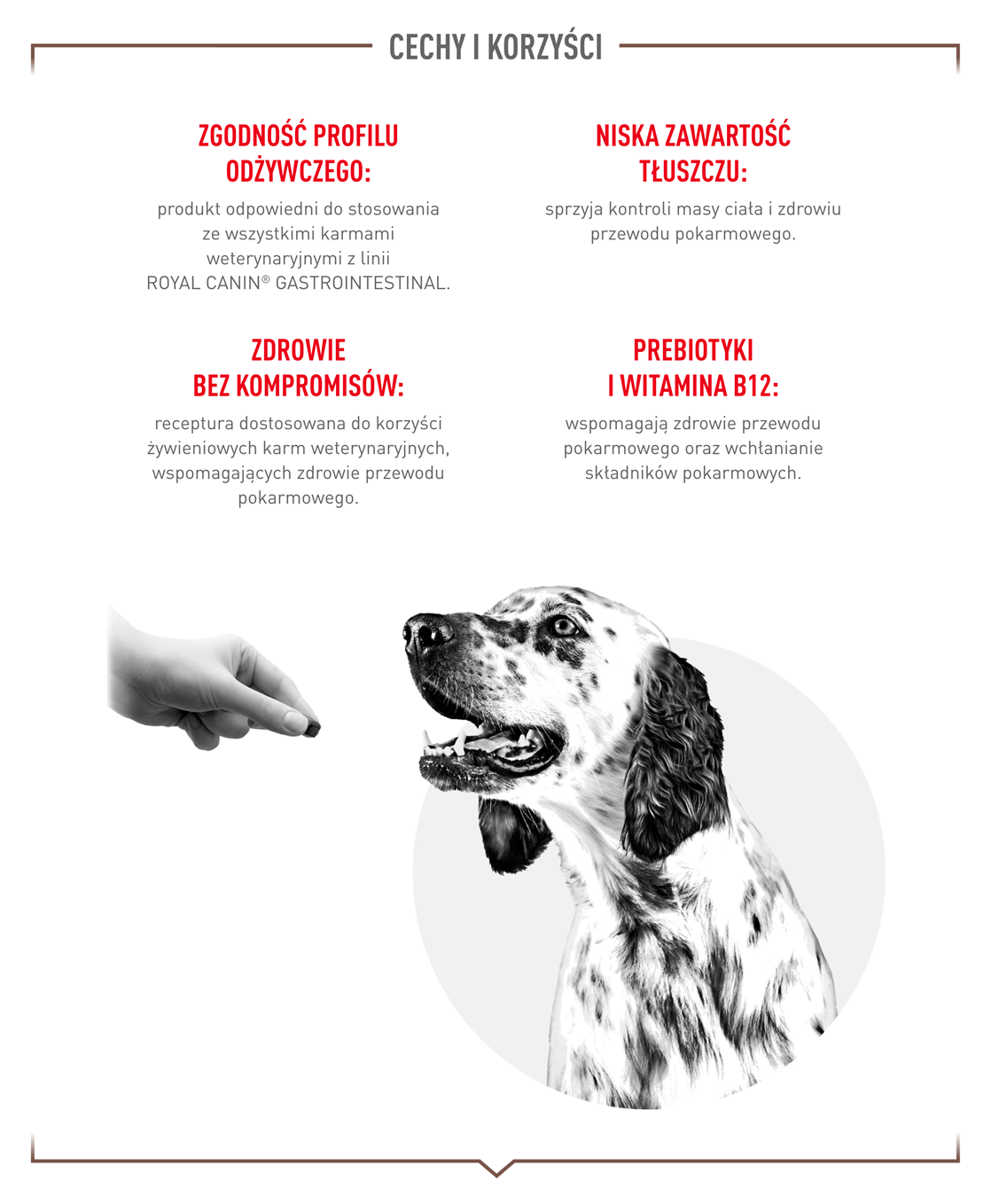 ROYAL CANIN Dog Gastrointestinal Treats