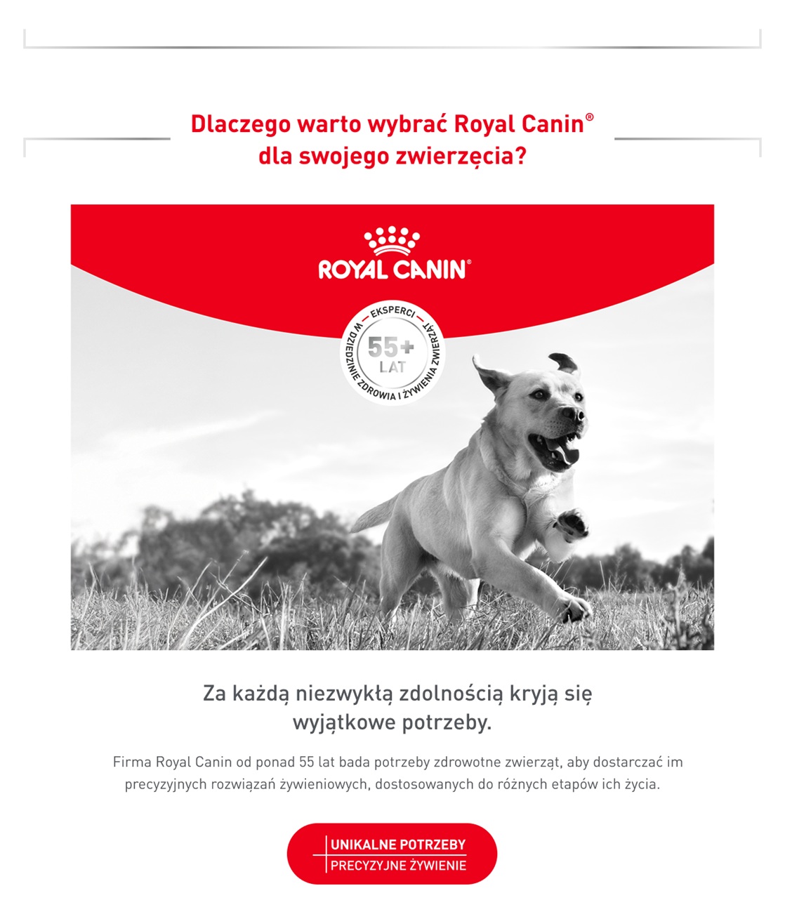 ROYAL CANIN VHN Dog Glycobalance