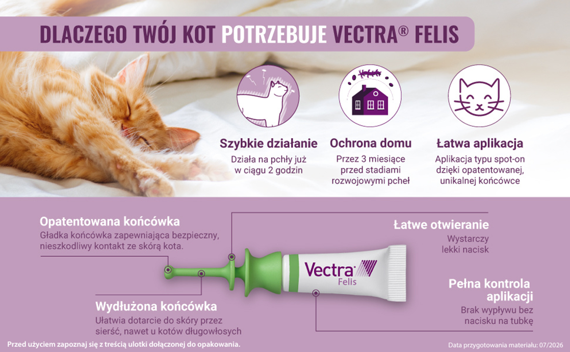 VECTRA 3D Felis