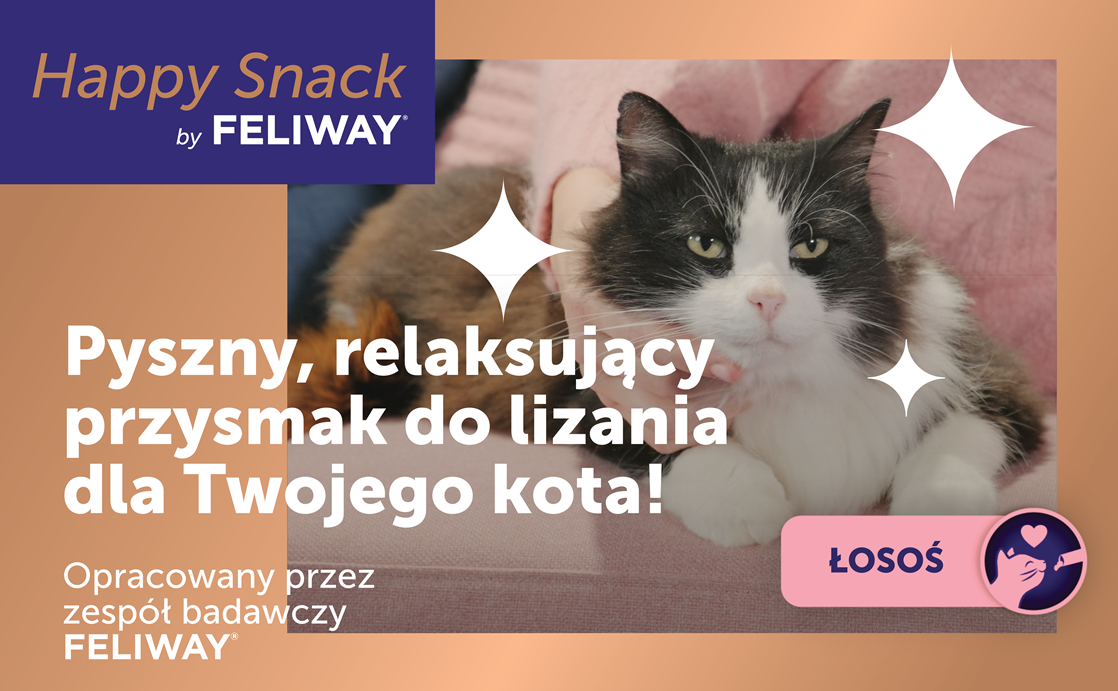 Happy Snack Salmon