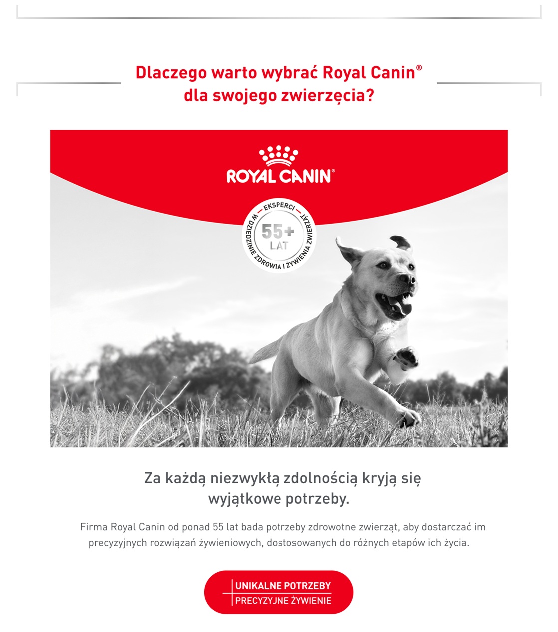 ROYAL CANIN VHN Dog Glycobalance Loaf