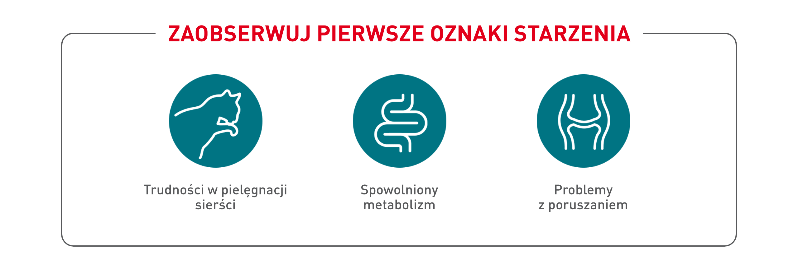 Royal Canin Ageing 11+ AirLift