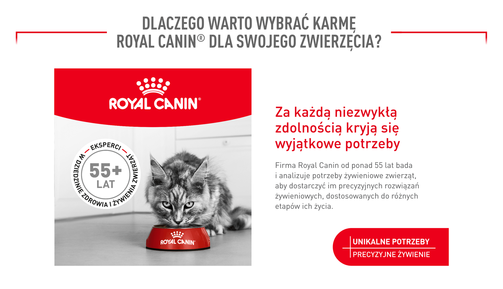 Royal Canin Ageing 11+ AirLift
