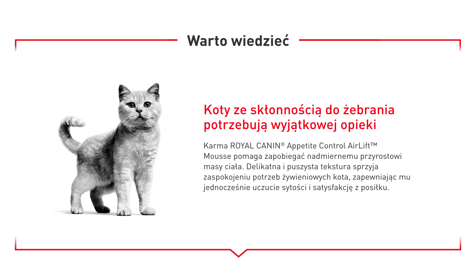 Royal Canin Appetite Control Care AirLift