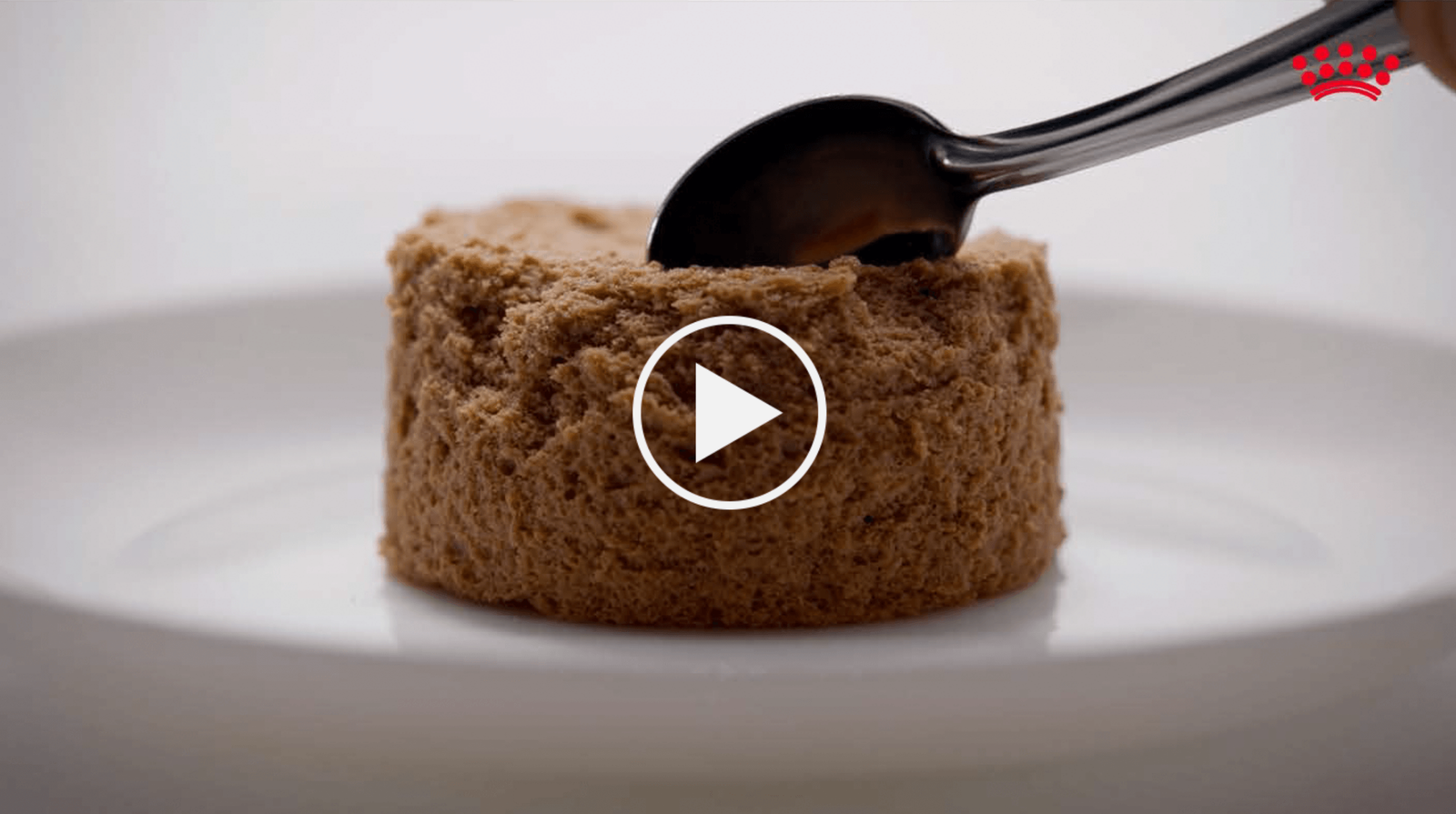 Royal Canin Digestive Care AirLift