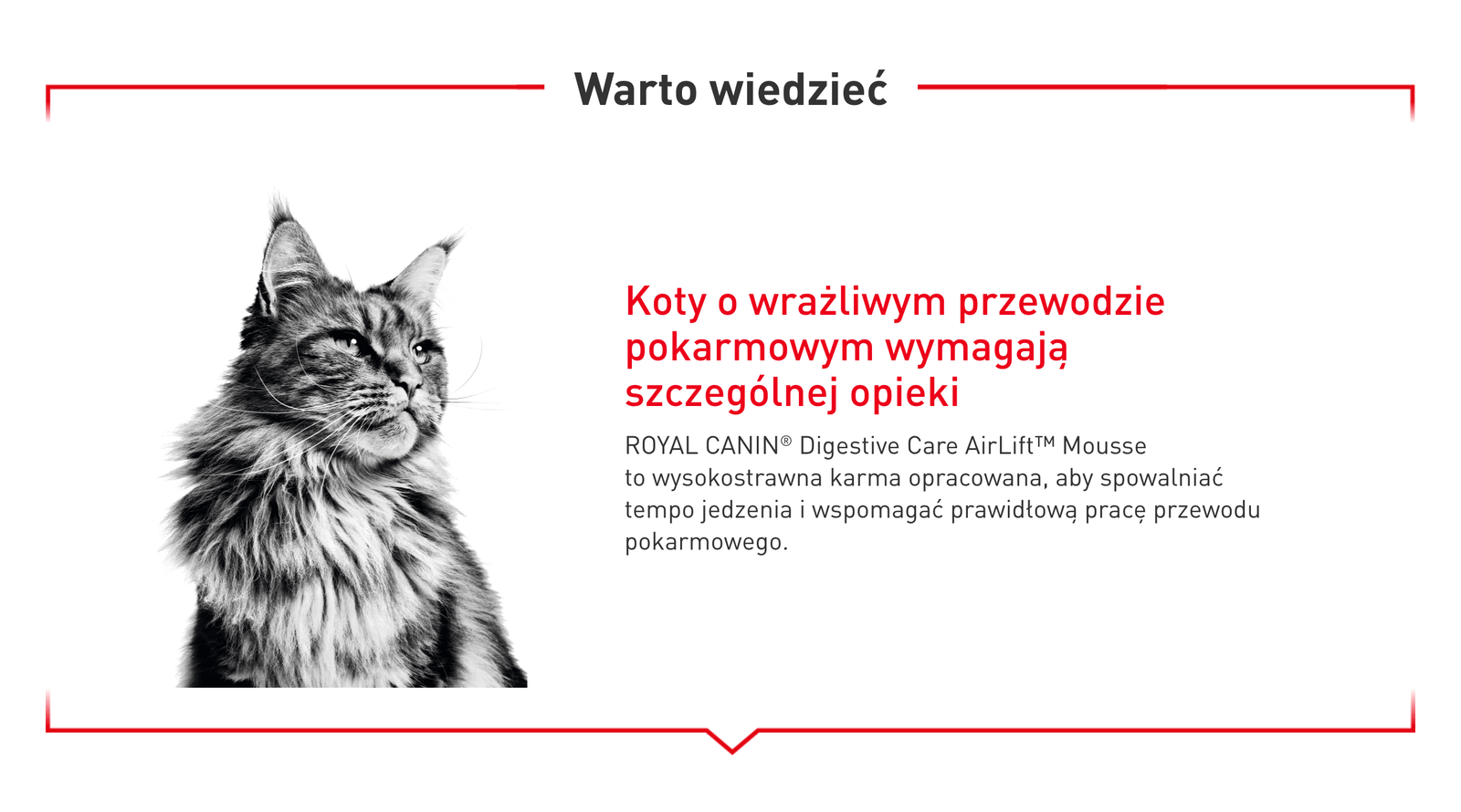 Royal Canin Digestive Care AirLift