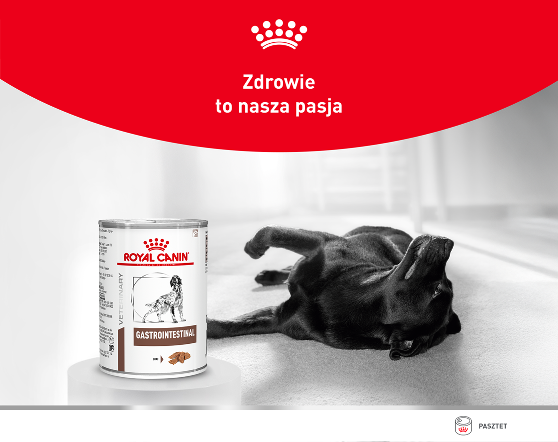 ROYAL CANIN VHN DOG Gastrointestinal Loaf