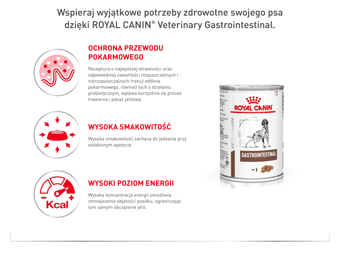 ROYAL CANIN VHN DOG Gastrointestinal Loaf