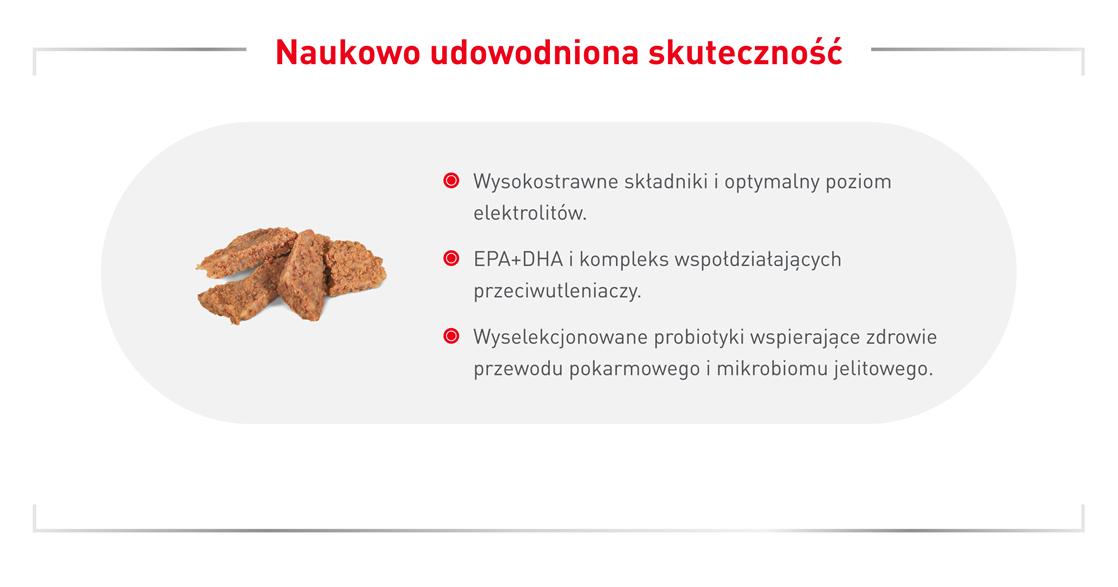 ROYAL CANIN VHN DOG Gastrointestinal Loaf