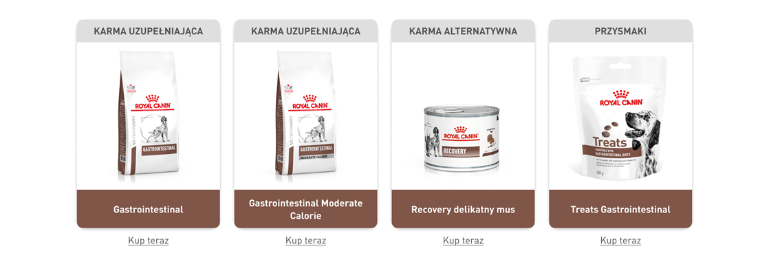 ROYAL CANIN VHN DOG Gastrointestinal Loaf