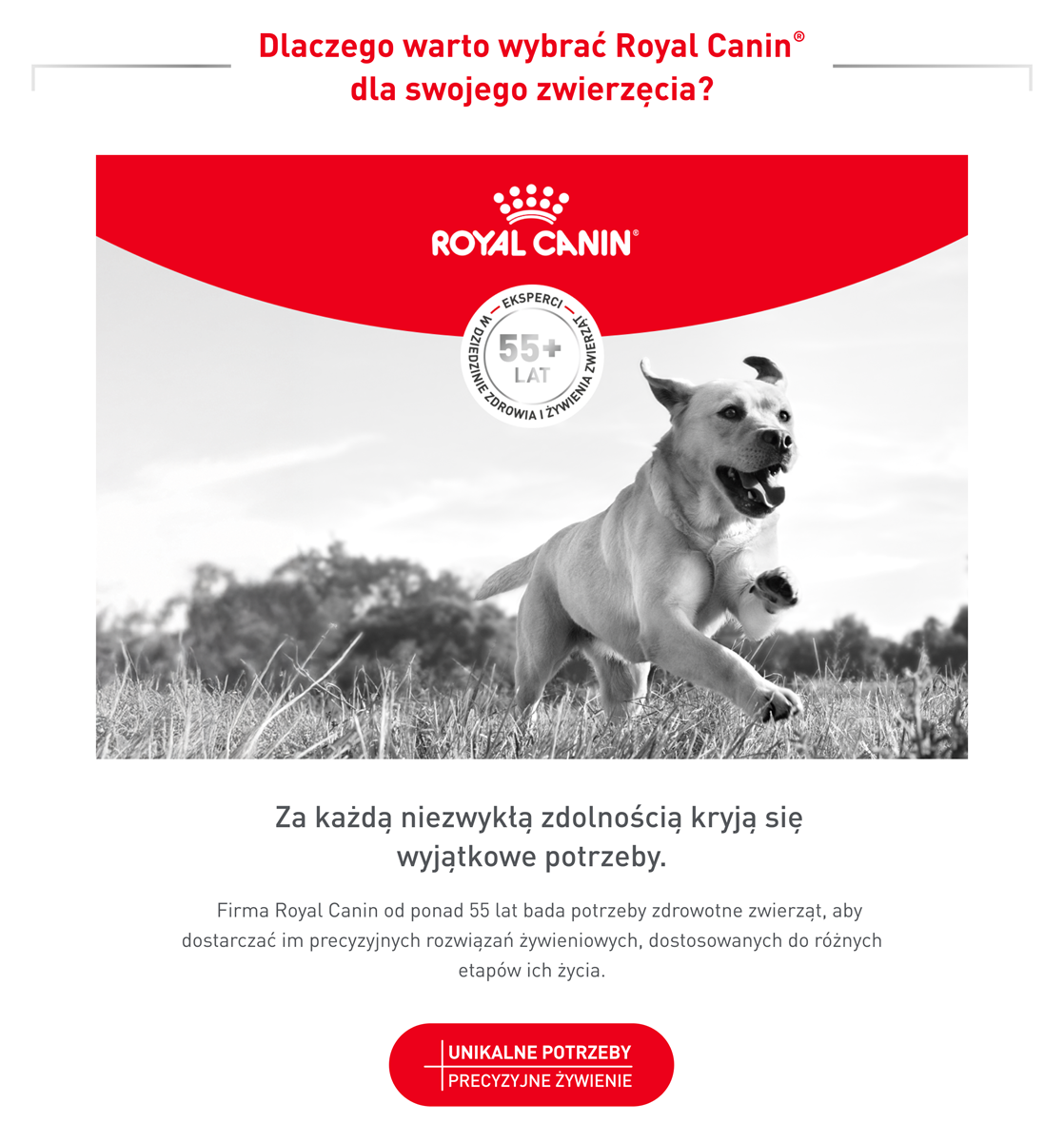 ROYAL CANIN VHN DOG Gastrointestinal Loaf